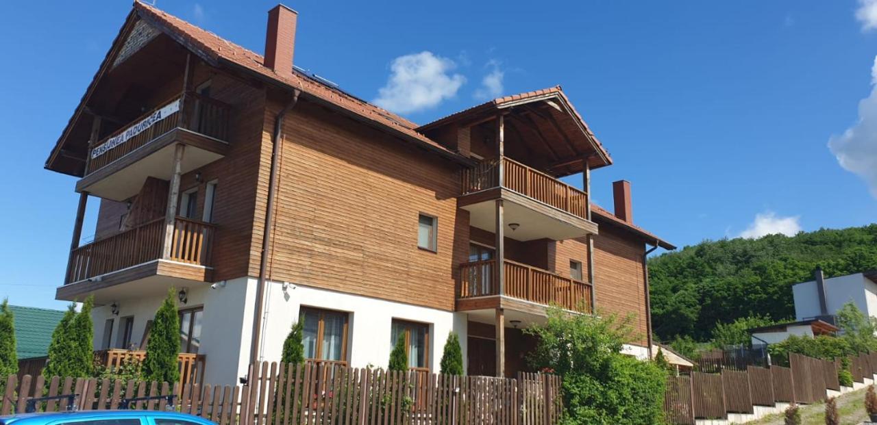 Casa Paduricea Hotel Dezmir Bagian luar foto