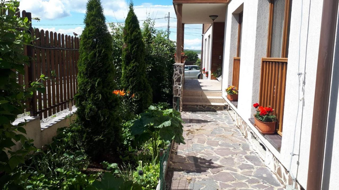 Casa Paduricea Hotel Dezmir Bagian luar foto